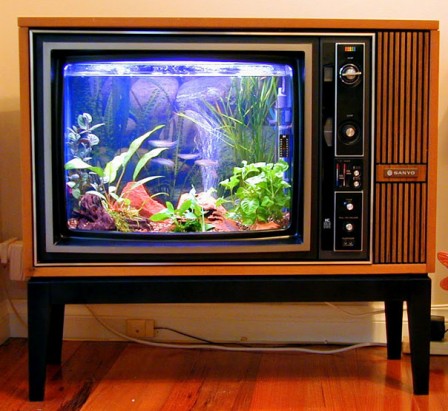 aquarium_tv.jpg