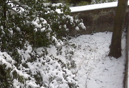 jardin_sous_la_neige.jpg