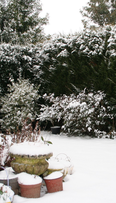 jardin_sous_la_neige2.jpg
